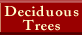 Deciduous Tree Inventory from Marcus Cook Farms